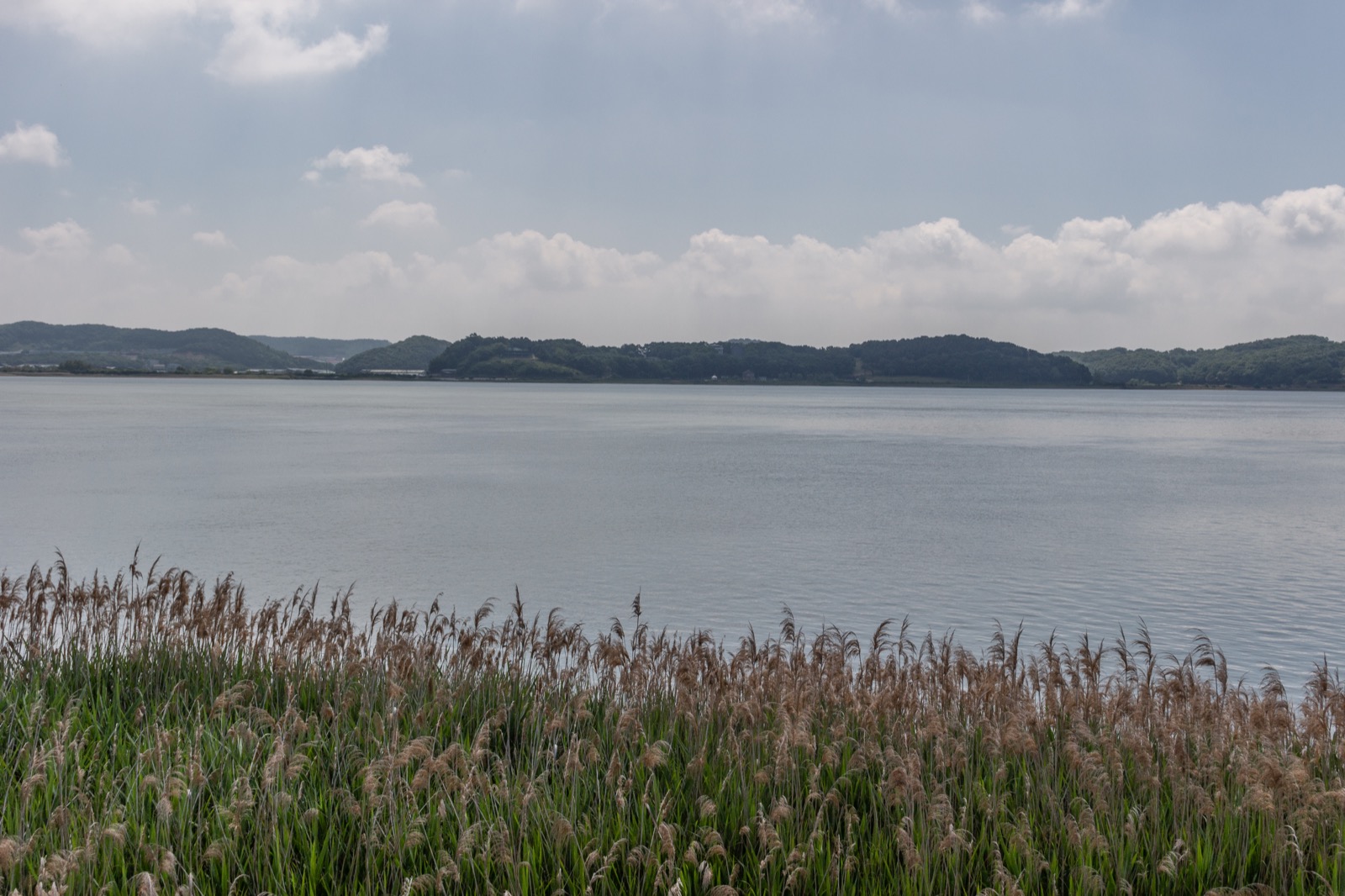 Natural scenery on Ganghwa Island