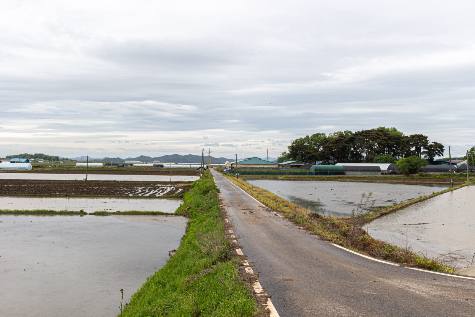 A road between paddies on Ganghwa Island