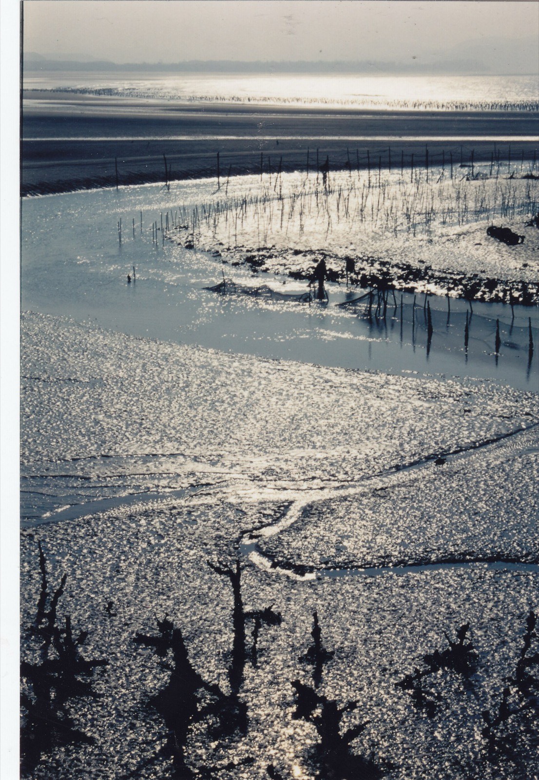 Ganghwa tidal mudflat