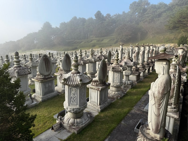 Misty morning over the stupa fields of Mitasa
