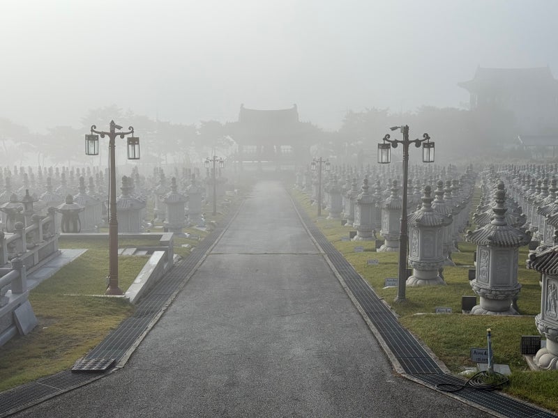 Foggy morning on the lantern-lined path at Mitasa